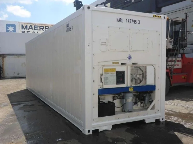 30 Feet Freezer Container Customized Mobile Cold Storage Cell Container / Reefer