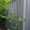 s-l1600-1-4 20′ Used Steel Shipping Container Storage Container